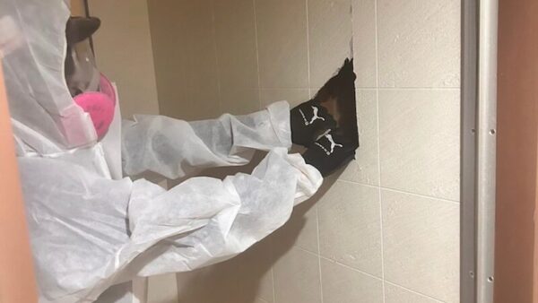 建屋解体はアスベスト調査が必要？含有があったときの調査後の流れと必要な工事について解説します