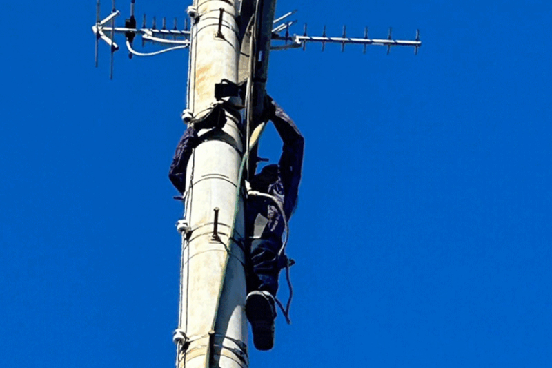 電柱の撤去工事