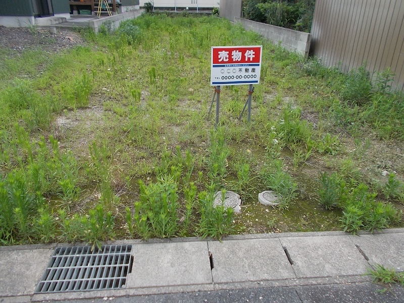 売却や活用の幅が広がる