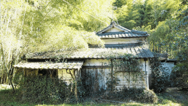 「古家つき土地」を買う前に知るべき、家の解体費用とスケジュールの現実