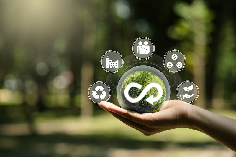 ウラシコの取り組み