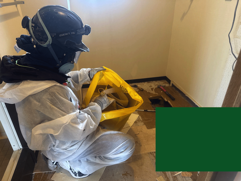 アスベスト調査