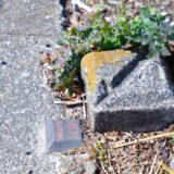 隣地境界線・境界杭とは？解体工事で多い境界トラブルと正しい境界線の確認方法