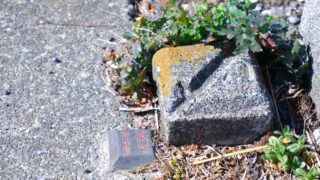 隣地境界線・境界杭とは？解体工事で多い境界トラブルと正しい境界線の確認方法