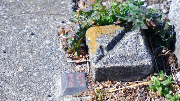 隣地境界線・境界杭とは？解体工事で多い境界トラブルと正しい境界線の確認方法