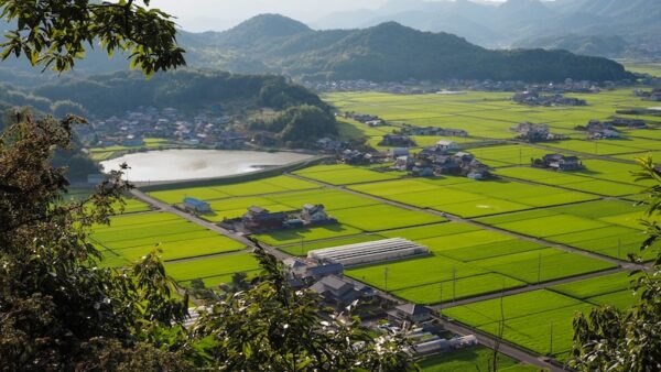 市街化調整区域の解体工事で押さえておくべきポイント｜必要な申請・許可とは？