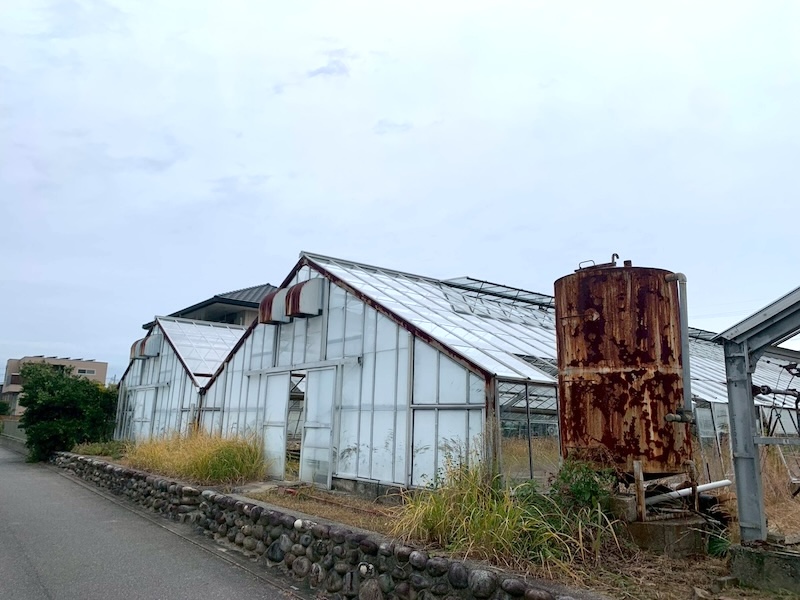ビニールハウスの撤去作業