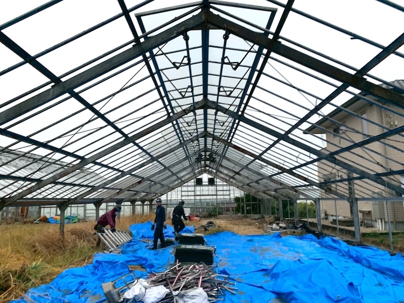 ビニールハウスの撤去作業