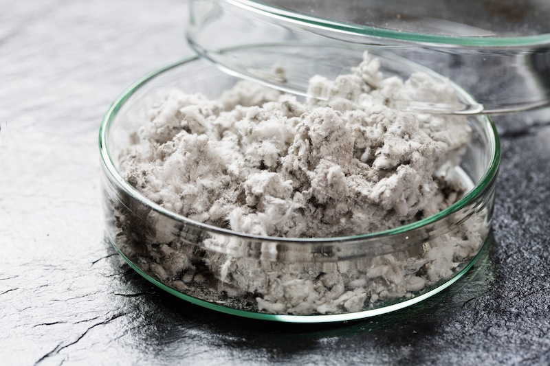 工作物専用の調査資格が新設