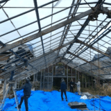 ビニールハウス撤去の費用相場はいくら？構造別・規模別に解説します