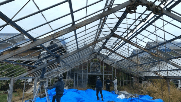 ビニールハウス撤去の費用相場はいくら？構造別・規模別に解説します