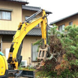 庭木撤去の費用相場はいくら？木の大きさや伐採・抜根の違い、安く抑えるコツを解説