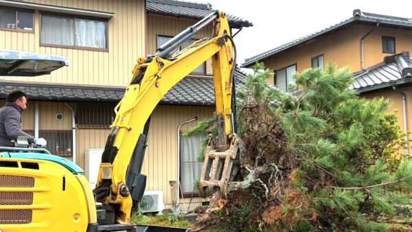 庭木撤去の費用相場はいくら？木の大きさや伐採・抜根の違い、安く抑えるコツを解説