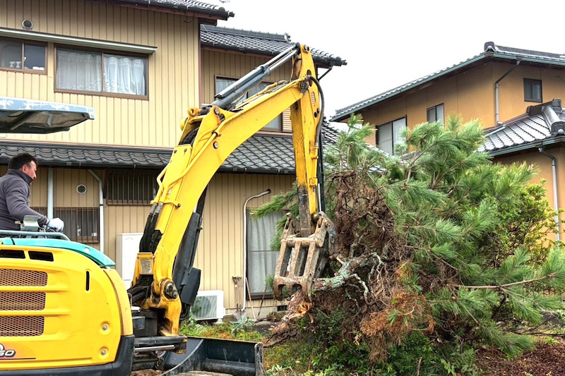 庭木の伐採作業